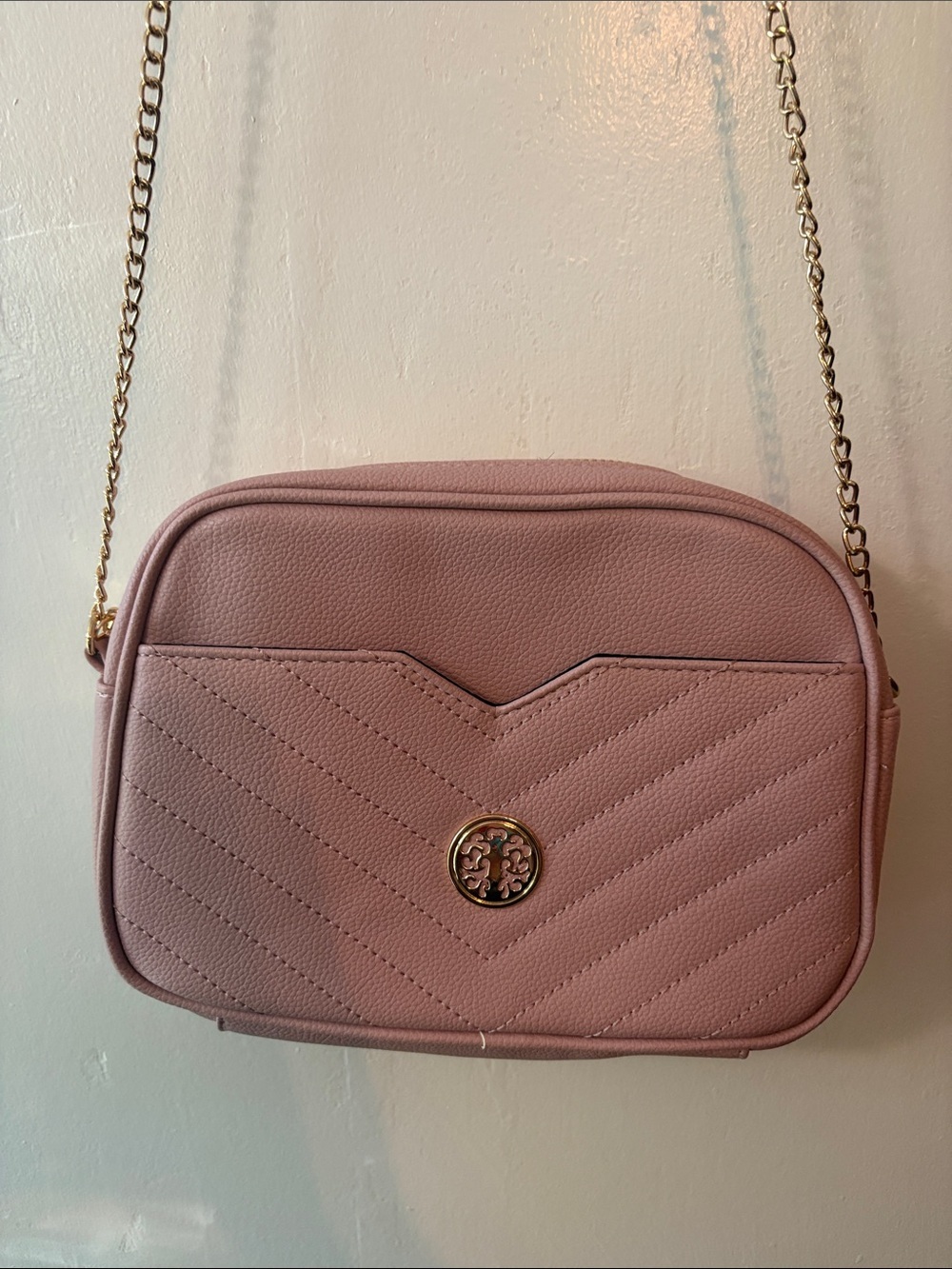 Blush Quilted Crossbody with Gold Chain